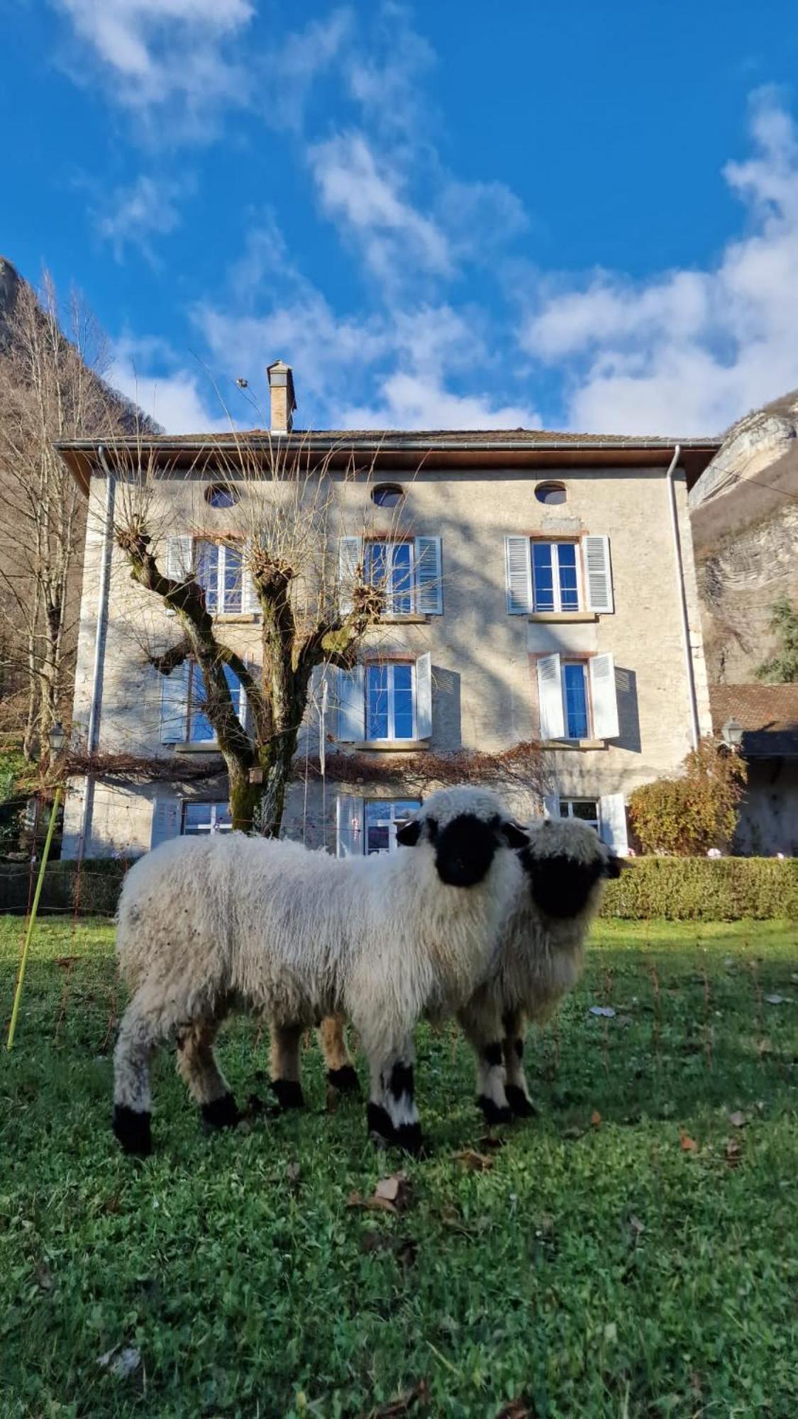 Chateau Monts Blancs Lumbin Exterior foto